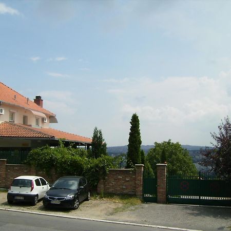 Villa Nevenka Rooms Belgrado Esterno foto